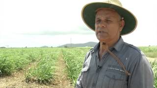 Joe Tama - NQ Dry Tropics Burdekin Project Catalyst