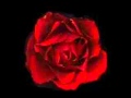 Bryan White - You Know How I Feel (with lyrics)