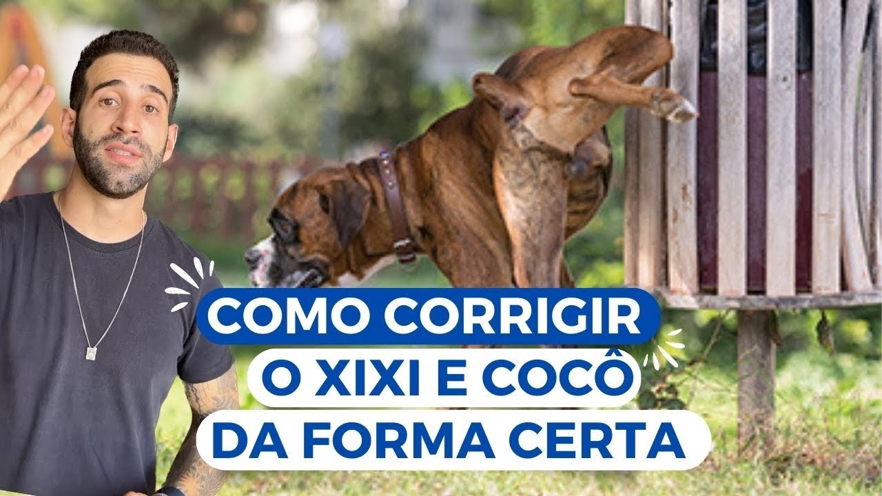 Como corrigir o xixi e cocô da forma certa