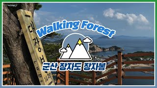[#Walking Forest] 섬과 산을 한번에?!? 군산 장자도 장자봉(or대장봉)