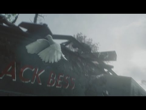 BATTLEFIELD 1 PIGEON GAMEPLAY SCENE - AMAZING SEQUENCE