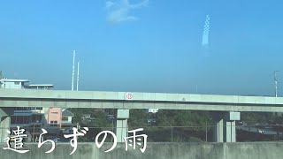 遣らずの雨