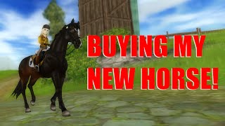 SSO | Buying my English Thoroughbred!