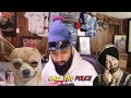 You Kicked My Dog Funny Prank Call