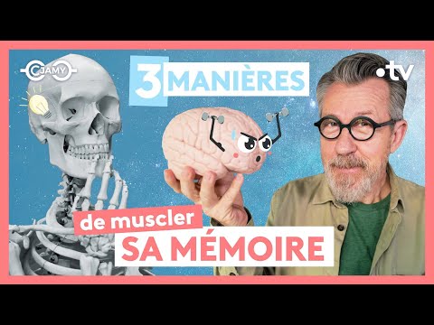 🧠 Comment préserver sa mémoire ?