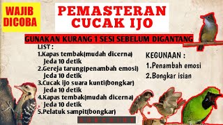 Download lagu MASTERAN CUCAK IJO   JEDA | CUCAK IJO BONGKAR ISIAN . KURANG 1 SESI BUNYIKAN MASTERAN INI . mp3