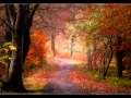 ANDY WILLIAMS   AUTUMN LEAVES