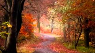 ANDY WILLIAMS   AUTUMN LEAVES