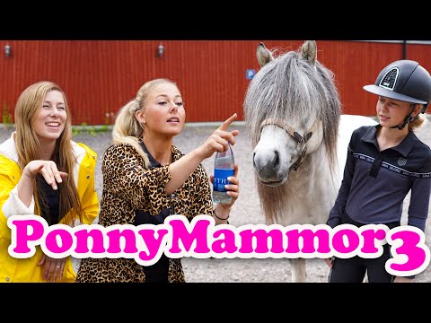 PONNYMAMMOR 3 | Ft. Melissa Fröhlich & Johanna Lassnack