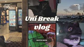Mid-Trimester Break Week 🎓 |  Life, Reset & Routine