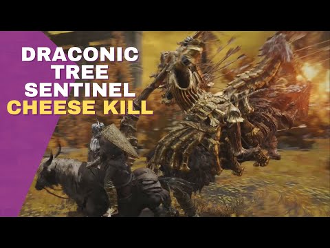 DRACONIC TREE SENTINEL Cheese How to kill him easily