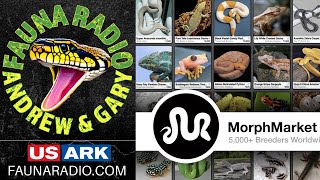 Is the Reptile Hobby being Affected by Moprhmart?