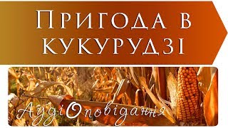 Літературне читання