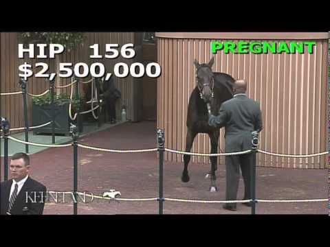 2014 November Breeding Stock Sale: Hip 156 - Naples Bay