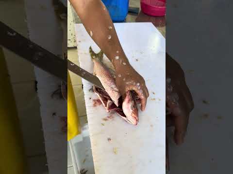 Limpando o peixe em 1 minuto #viral #fish #peixesamazonicos #peixe #fyp