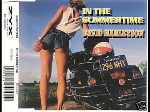 In The Summer Time - David Harleyson