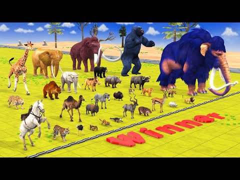 Ultimate Race 40 Wild Animals Speed Challenge Who is the Fastest Super Animal Battle Simulator