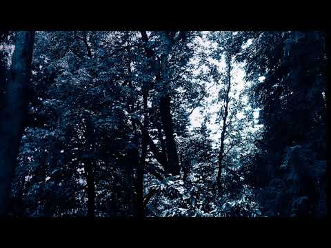 Dantalion  -  Cold Winter Dusk