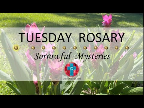Tuesday Rosary • Sorrowful Mysteries of the Rosary 💜 September 2, 2025 -Multiple Languages Available