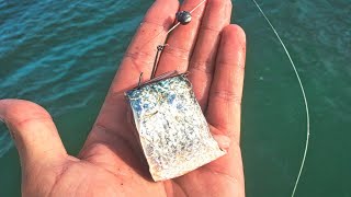 Redfish Fishing with Cut Bait (Fresh Mullet)