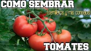 Como Sembrar Tomates 123vid - 