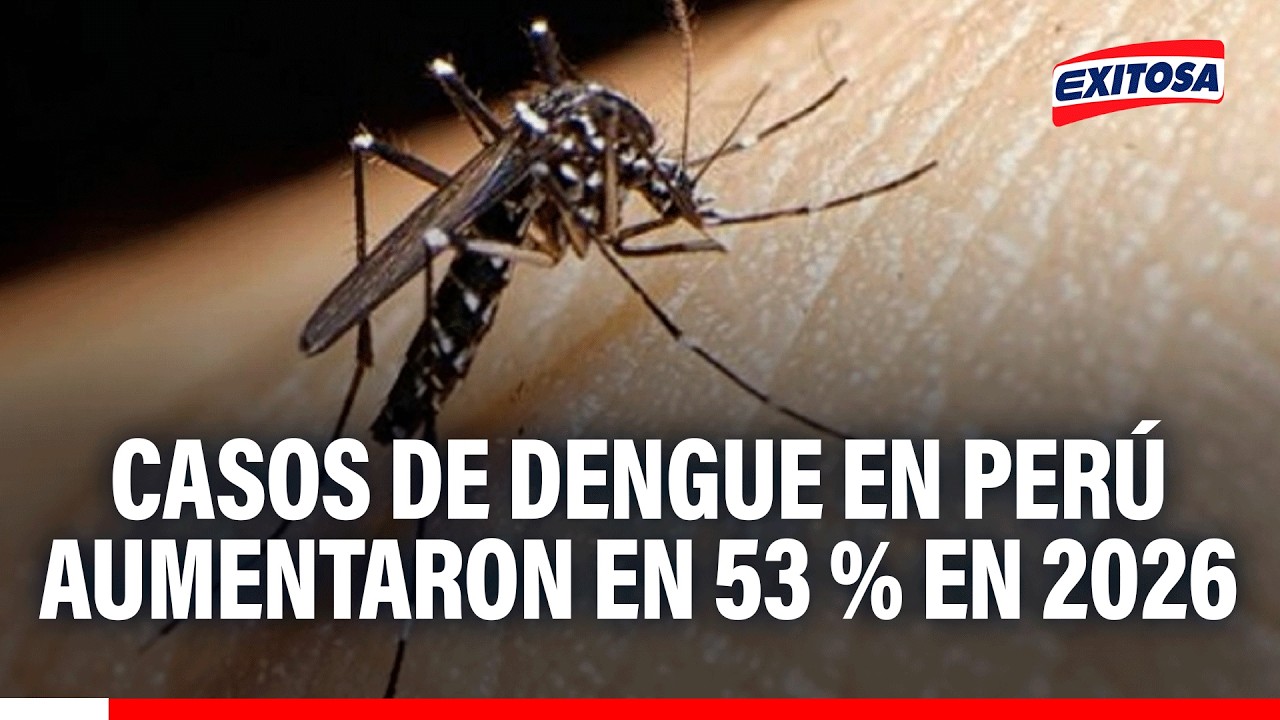 🔴🔵 Dengue en Perú: Muertes ya superan todo el registro de 2025 y casos aumentan 53 % en 2026