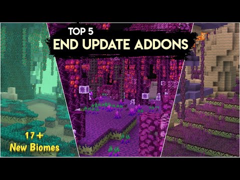 Best End Updates (Top 5) For Minecraft You Must Try 😍| How To Add New End Biomes In Minecraft |
