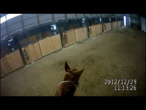 Ty's Horse Cam