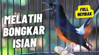 Download lagu MURAI BATU GACOR FULL ISIAN TEMBAKAN MEWAH AMPUH MELATIH MURAI BATU EMOSI BONGKAR ISIAN mp3
