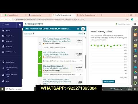SAM Exam Excel Module 01 || SAM Exam Excel Module 01 || Creating a Worksheet and a Chart