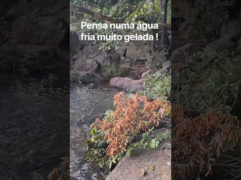 rio das perdizes município de Baliza goias.   tudo de bom 👍