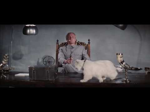 "Wrong Pussy" - Sean Connery