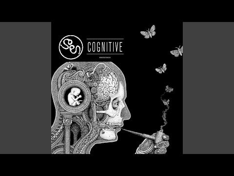 Fraccions - Soen