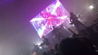 Tripping Daisy - ROCketPop