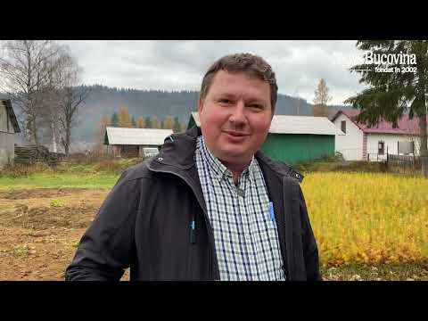 "In MOLDOVA, everything is paid for." Cristi Gafincu is fed up with activists made up of criminals