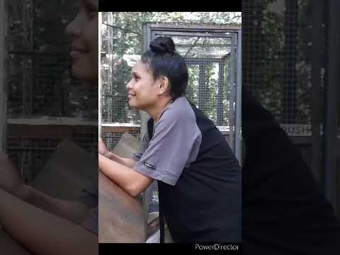 Syl & Jess Album ..song Jrex ft Robby T