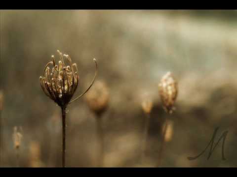 Jim Albright Sermon - Risky Obedience Is Always Right! - Gideon Part 1/4