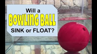 Will a Bowling ball Sink or Float? density experiment (Archimedes' principle)