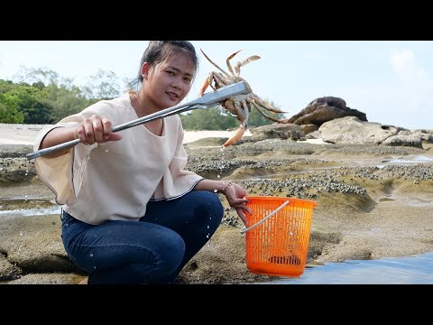 Catch and Cook Giant Mud Crabs  -  Crab Curry with traditional ingredient
