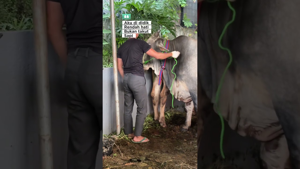 #music #song #lyrics #playlist #songlyrics #tips #quotes #coversong #quoteoftheday