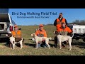 Bird Dog Field Trial Point Back Retrieve Quail Forever