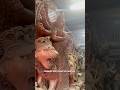 Kumartuli 2025 Durga Puja 2025 Durga Idol Making Kumartuli Durga Thakur Making Durga Puja Song