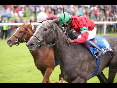 Hannover: Großer Preis von meravis (Listenrennen) - Siegerin: Holy Moly