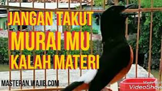 Download lagu Murai batu TERBAIK dan TERSUKSES dalam mengatasi macet bunyi mp3 Download lagu Murai batu TERBAIK dan TERSUKSES dalam mengatasi macet bunyi mp3