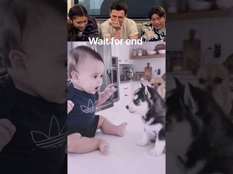 Baby Meets His Fluffy Bestie! 🥰🐶👶 #funny