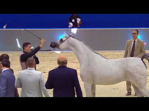 88 AJ REEDA Dubai 2018