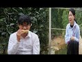 CEO Toan S Disappearance Caused Tu Diem Immense Distress Leading To
