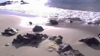 Across the Sea- Javier Dunn (video response)