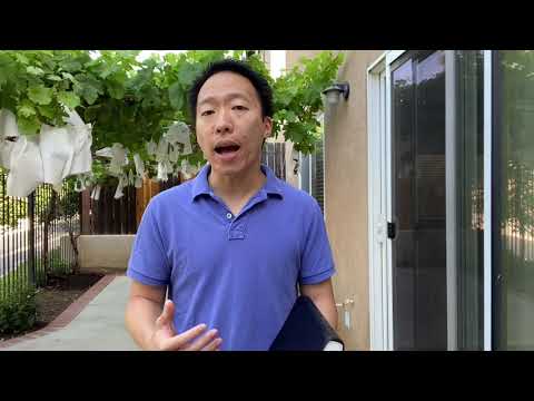 Enduring Trials - Psalm 119:81-88