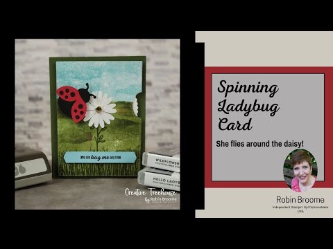 Tarjeta de movimiento de mariquita